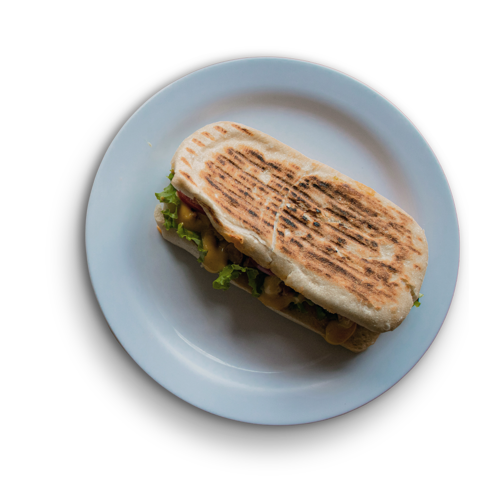 Toasted sandwich on a plate